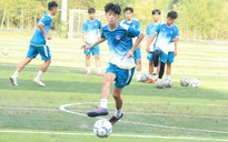 Những nét chính của giải bóng đá Thanh Niên Sinh viên Việt Nam