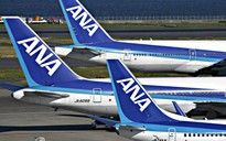 Hãng hàng không Nhật ANA sẽ mua 20% cổ phần của Vietnam Airlines?