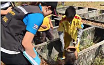 Thái Lan truy tìm kẻ đào mồ trộm xác trẻ sơ sinh làm bùa kuman thong