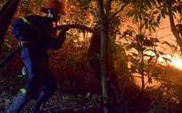 Khám nghiệm hiện trường vụ cháy rừng phòng hộ Sóc Sơn