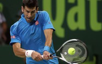 Murray và Djokovic cùng thắng để vào tứ kết tại Qatar Open