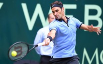 Vì sao Federer yêu thích mặt sân cỏ của Wimbledon?