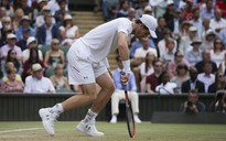 Wimbledon 2017: Murray và Djokovic cùng bị loại ở tứ kết