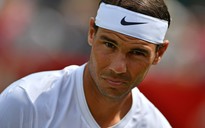 Bốc thăm Wimbledon 2019: Nadal rơi vào nhánh đấu khó