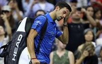 Đau vai, Novak Djokovic bỏ cuộc ở vòng 4 Mỹ mở rộng 2019