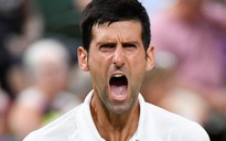 Novak Djokovic từng suýt chia tay quần vợt vào năm 2010