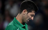 Novak Djokovic bị doạ giết khi biến giải đấu thành ổ dịch