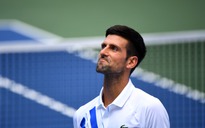 Quần vợt thế giới 'xáo trộn' sau khi Novak Djokovic thành lập hiệp hội ly khai