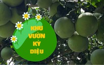 Cùng sống xanh số 1: Khu vườn kỳ diệu