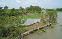 Vĩnh Long: Em chồng chủ tịch huyện chiếm đất công làm kè chống sạt lở cho vườn nhà