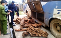Hơn 400 kg gỗ hương giáng được vận chuyển bằng xe khách