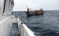 Tiếp tục tìm kiếm, cứu hộ 2 tàu cá hỏng máy thả trôi trên biển