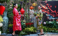 Gần 1.000 diễn viên múa Yosakoi biểu diễn tại lễ hội hoa Anh đào