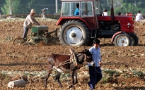 Trung Quốc chi hàng tỉ USD trợ cấp cho nông dân