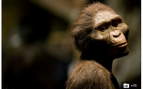 Tìm thấy hóa thạch tổ tiên mới của loài người ?