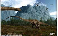 Vì sao loài khủng long lại tránh xa vùng xích đạo ?