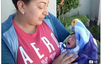Mexico: Cắt gần đứt 'cậu nhỏ' của trẻ sơ sinh vì nhầm