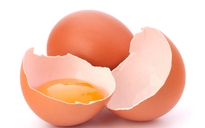 Vỏ trứng giúp chữa lành vết loét lâu ngày