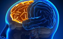 Bật mí 5 phương pháp giúp kích thích trí nhớ hiệu quả
