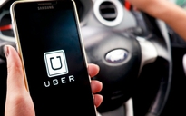 Nhiều cử nhân Mỹ lái Uber vì không tìm được việc