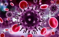 Siêu kháng thể mới có thể tiêu diệt 99% vi rút HIV