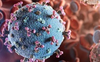 Nghiên cứu của ICL: Virus SARS-CoV-2 có thể lây nhiễm với giọt bắn nhỏ siêu nhỏ