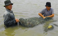 Khuyến khích nuôi thủy sản theo tiêu chuẩn VietGAP