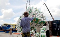 Đẩy mạnh xuất khẩu gạo sang châu Phi