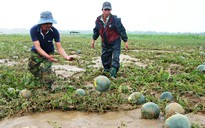 Lo lũ lụt giữa mùa khô