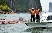 Cứu 48 du khách trên tàu bị tai nạn ở vịnh Hạ Long