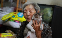 Cụ bà hơn 60 năm ‘làm mẹ’ của chó, mèo hoang