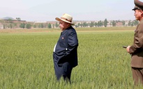 Triều Tiên gặp hạn hán nghiêm trọng nhất trong 100 năm