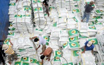 Xuất khẩu gạo đạt 1,7 tỉ USD