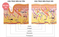 Quan điểm mới trong chăm sóc, bảo vệ làn da từ gốc