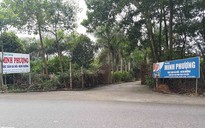 Vụ rừng phòng hộ Sóc Sơn bị 'băm nát': Kiểm tra, báo cáo sai phạm trước ngày 30.4