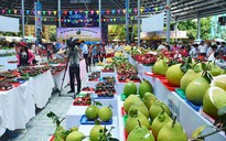 TP.HCM lần đầu tiên tổ chức 'Tuần lễ trái cây Việt Nam'