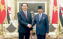 VN - Brunei Darussalam tăng cường hợp tác nhiều lĩnh vực