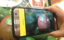 Hà Nội thí điểm kiểm soát thực phẩm bằng smartphone