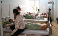 Gia tăng nhiều ca sốt xuất huyết tại Bình Định và Khánh Hòa