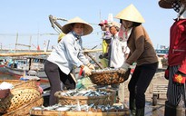 Đề nghị bồi thường cho người nuôi thủy sản vì ảnh hưởng sự cố môi trường Formosa