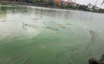 Dân khốn khổ hít mùi ô nhiễm hồ Văn Quán