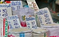Thái Lan bỏ gần 1,3 tỉ USD cứu gạo thơm Jasmine