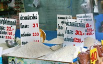 Campuchia tăng xuất khẩu gạo