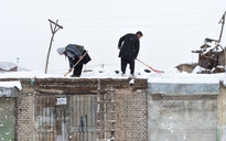 Lở tuyết ở Afghanistan, 137 người chết