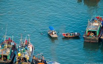 Đắm tàu cá trên vịnh Bái Tử Long, mẹ chết, con nguy kịch