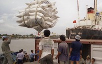 VN sẽ xuất khẩu nửa triệu tấn gạo sang Bangladesh