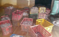 Nhiều cơ sở chế biến hải sản Tân Hải bất chấp lệnh cấm
