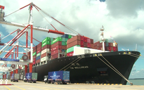 Chỉ 3/100 chuyến hàng làm thủ tục tại cảng Cái Mép - Thị Vải
