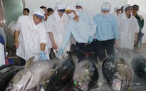 Tại sao châu Âu 'rút thẻ vàng' với hải sản Việt Nam?