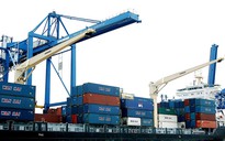 Tạm dừng thi công dự án cảng container Long Sơn